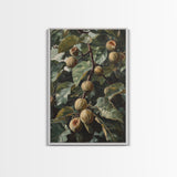 Fig Painting Print - Framed Canvas - Fig Oil Painting, Fig Painting, Kitchen Decor, Rustic Farmhouse, Minimalist Home Decor
