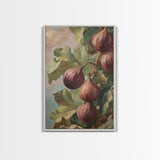 Figs On The Vine Framed Canvas Print - Kitchen Wall Art - Figs Painting