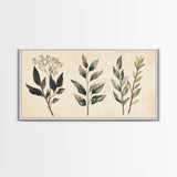 Boho Botanical Sketch Print, Botanical Wall Art, Framed Canvas Print, Minimalist Pencil Sketch Wall Art, Minimalist Home Decor, Living Room Art