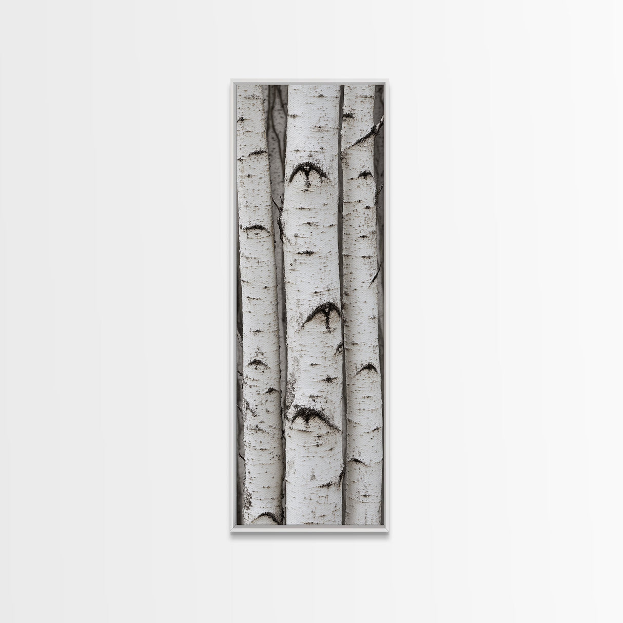 Classic Birch Trees Black and White Wall Art Framed Canvas Print Rustic Farmhouse Art Tall Narrow Art Guest Room Decor