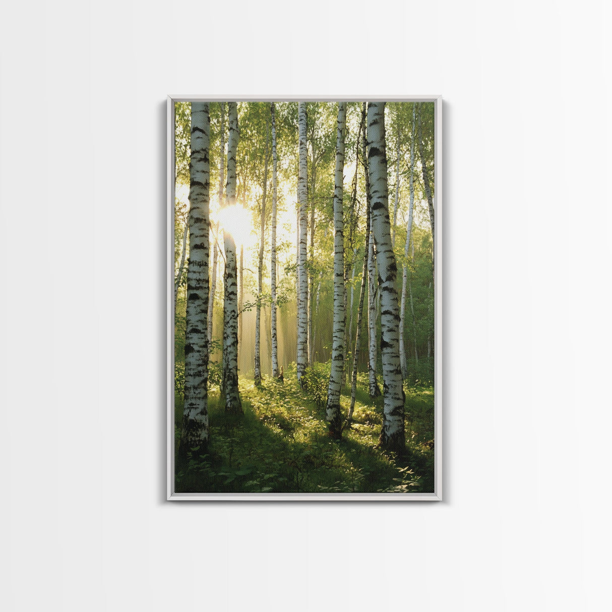 Morning Sunlight Birch Tree Art Canvas Print Natural Landscape Gift Rustic Farmhouse Vertical Artwork Home Decor Above Bed