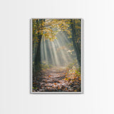 Sunlit Autumn Forest Path Canvas Print, Fall Wall Art, Nature Photography Print, Cozy Home Decor, Rustic Living Room Art, Cabin Wall Art