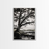 Tree Silhouette, Black White Art, Canvas Print, Dramatic Landscape, Coastal Wall Art, Nature Scene, Monochrome Decor, Minimalist Art