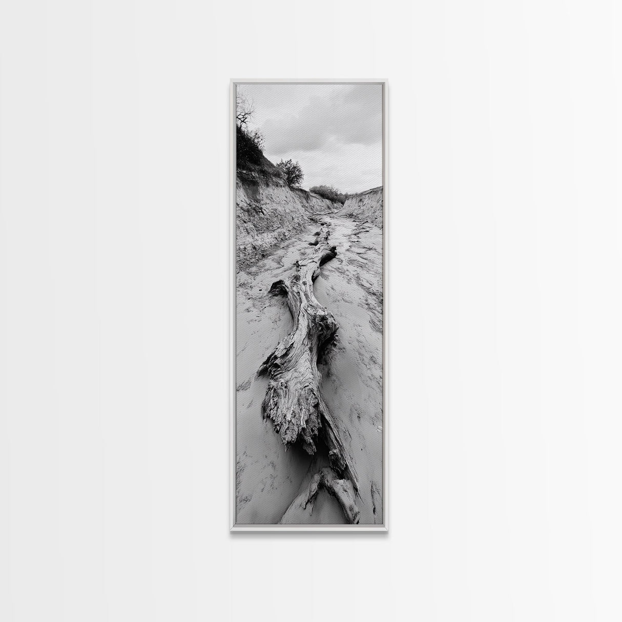 Driftwood, Nature Path, Earthy Decor, Rustic Home Style, Framed Canvas Print, Living Room Wall Art, Natural Landscape Photography