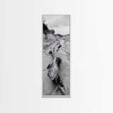 Driftwood, Nature Path, Earthy Decor, Rustic Home Style, Framed Canvas Print, Living Room Wall Art, Natural Landscape Photography