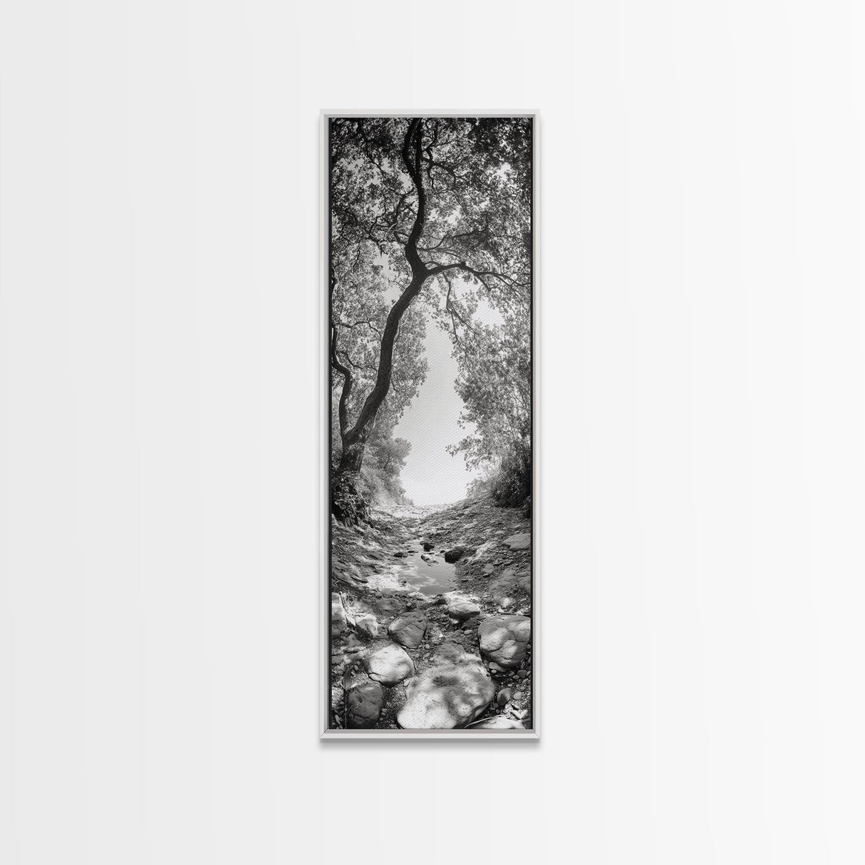 Forest Path, Rock Creek, Canopy Light, Calm Nature Scene, Canvas Print, Entryway Wall Art, Tranquil Minimalist Landscape Print