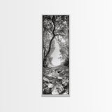 Forest Path, Rock Creek, Canopy Light, Calm Nature Scene, Canvas Print, Entryway Wall Art, Tranquil Minimalist Landscape Print