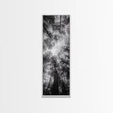 Forest Canopy, Nature Perspective, Tranquil Trees, Black and White, Framed Canvas Print, Cabin Wall Art, Scandinavian Decor, Minimalist Style