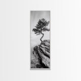 Lone Pine Tree, Minimal Nature, Tranquil Cliff Scene, Zen Forest Print, Framed Canvas Print, Japandi Wall Art, Entryway Tree Print, Nature Minimalism