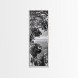 Mangrove Shoreline, Tree Reflections, Still Waters, Tranquil Escape, Black White Nature Framed Canvas Print, Zen Wall Art Entryway Decor