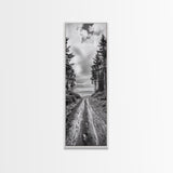 Coastal Forest Path, Nature Trail, Ocean View, Black and White, Framed Canvas Print, Entryway Wall Art, Rustic Decor, Landscape Photography