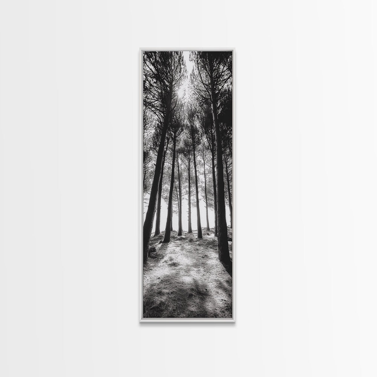 Pine Forest Glow, Woodland Landscape, Monochrome Nature, Boho Style, Framed Canvas Print, Entryway Print, Living Room Wall Art, Game Room Art