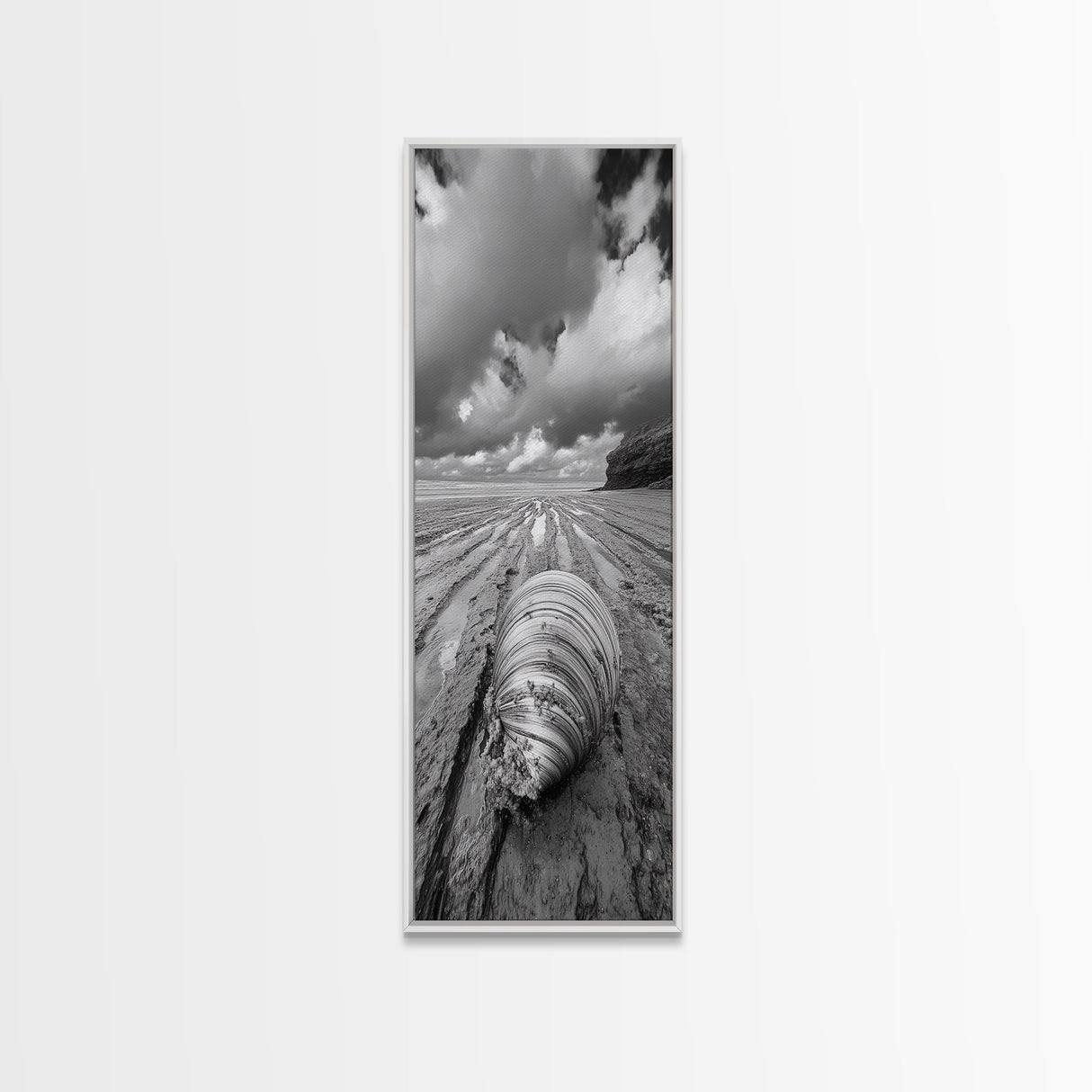 Ocean Clam, Moody Beach, Tidal Lines, Coastal Detail, Canvas Print, Nautical Bathroom Wall Art, Black and White Ocean Decor,  Den Wall Piece