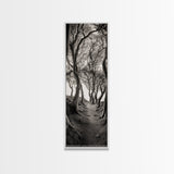 Twisted Trees, Enchanted Path, Forest Tunnel, Autumn Mood, Mystical Nature Framed Canvas Print, Fall Entryway Wall Art, Rustic Decor