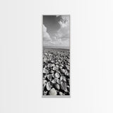 Shell Beach, Coastal Texture, Seashell Ground, Nature’s Bounty, Rustic Ocean Canvas Print, Neutral Kitchen Wall Art, Boho Coastal Style
