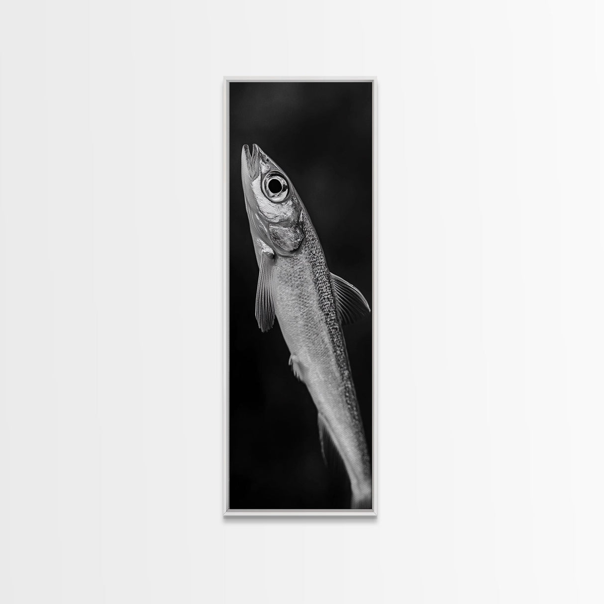 Silver Fish, Minimal Animal, Ocean Catch, Framed Canvas Print, Kitchen Wall Art, Nature Inspired Decor, Monochrome Sea Life