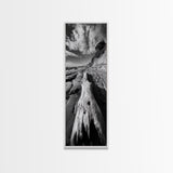 Driftwood Beach, Ocean Texture, Nature Scene, Canvas Print, Rustic Beach Decor, Coastal Wall Art, Bathroom Art, Moody Seaside Print