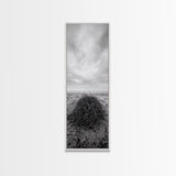 Drift Bundle, Desert Shore, Coastal Minimal, Framed Canvas Print, Moody Beach Photography, Boho Wall Decor, Autumn Entryway Art
