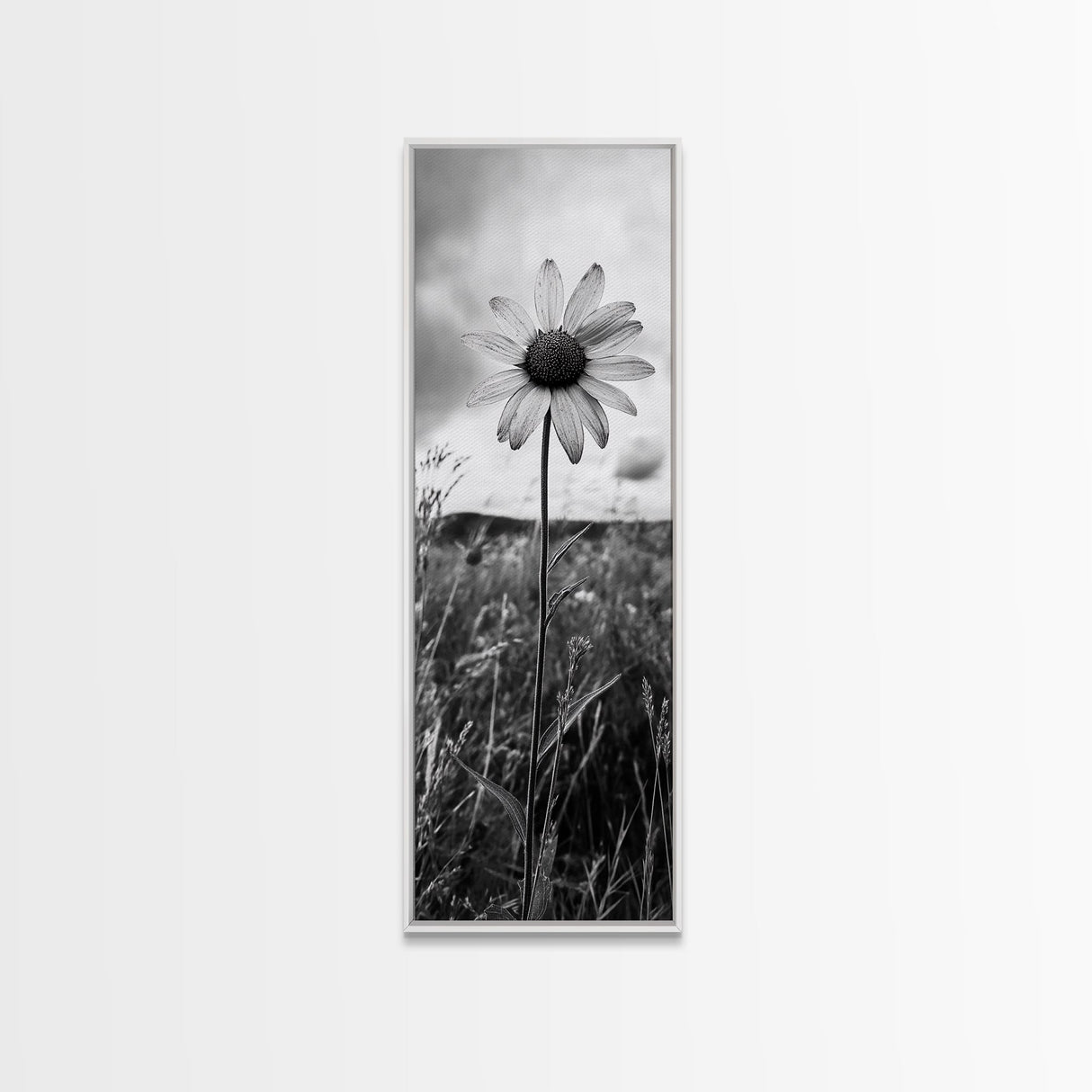 Single Daisy Bloom, Minimalist Botanical, Black White Flower, Framed Canvas Print, Nature Inspired Art, Bedroom Wall Decor, Modern Farmhouse