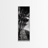 Windy Forest Trail, Dark Coastal Trees, Atmospheric Nature, Framed Canvas Print, Fall Living Room Wall Art, Moody Landscape Aesthetic