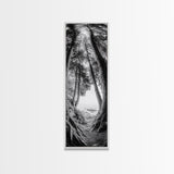 Forest Path, Ocean View, Tall Trees, Canvas Print, Black and White Nature Art, Entryway Wall Art, Rustic Woodland Aesthetic, Bedroom Wall Art