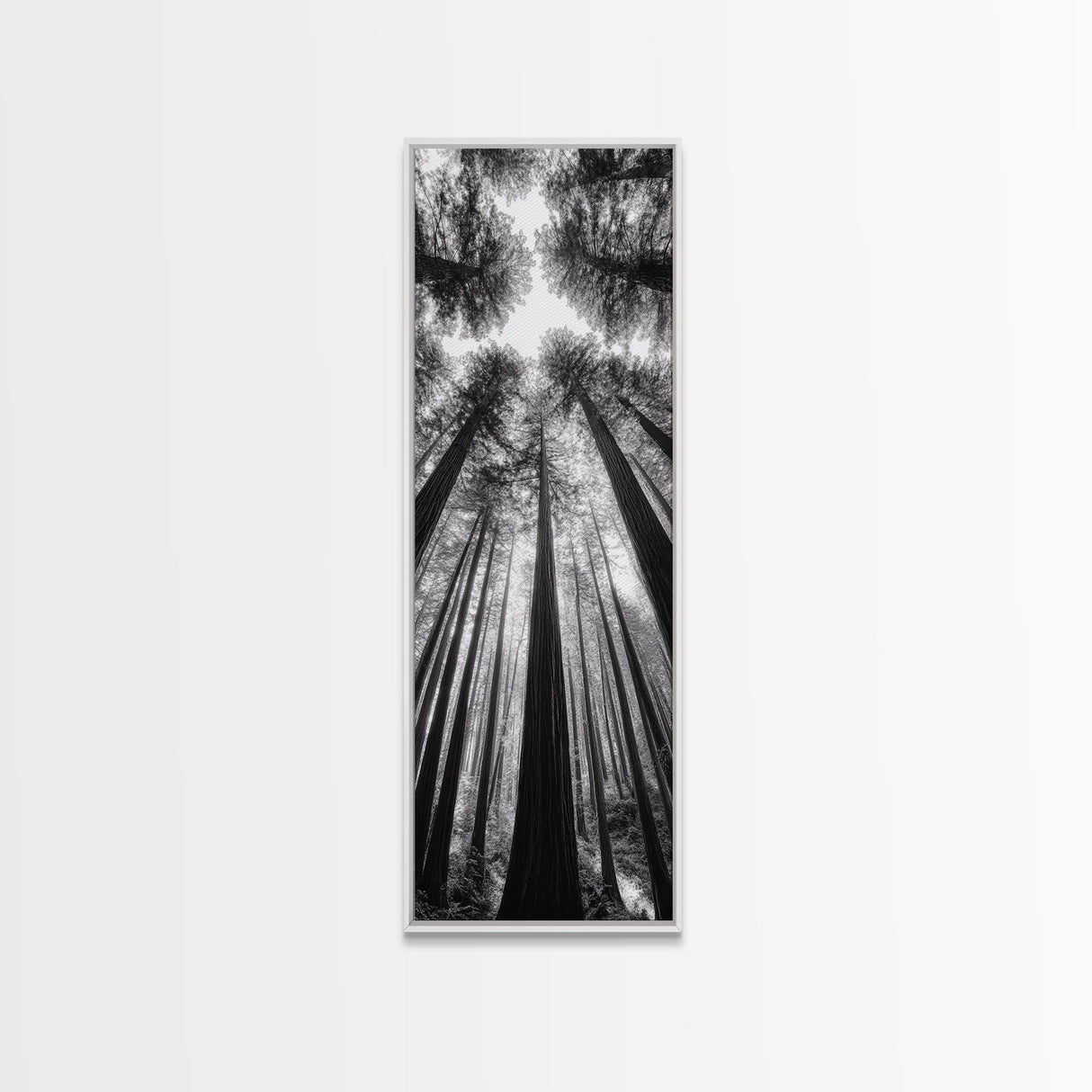 Redwood Forest, Sunlight Trees, Nature Canopy, Canvas Print, Serene Woodland Art, Cabin Wall Decor, Black and White Forest Art, Bedroom Wall Art