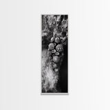 Tide Pool Life, Sea Creatures, Textured Nature, Ocean Details, Shell Art, Framed Canvas Print, Bathroom Wall Art, Coastal Boho Vibes