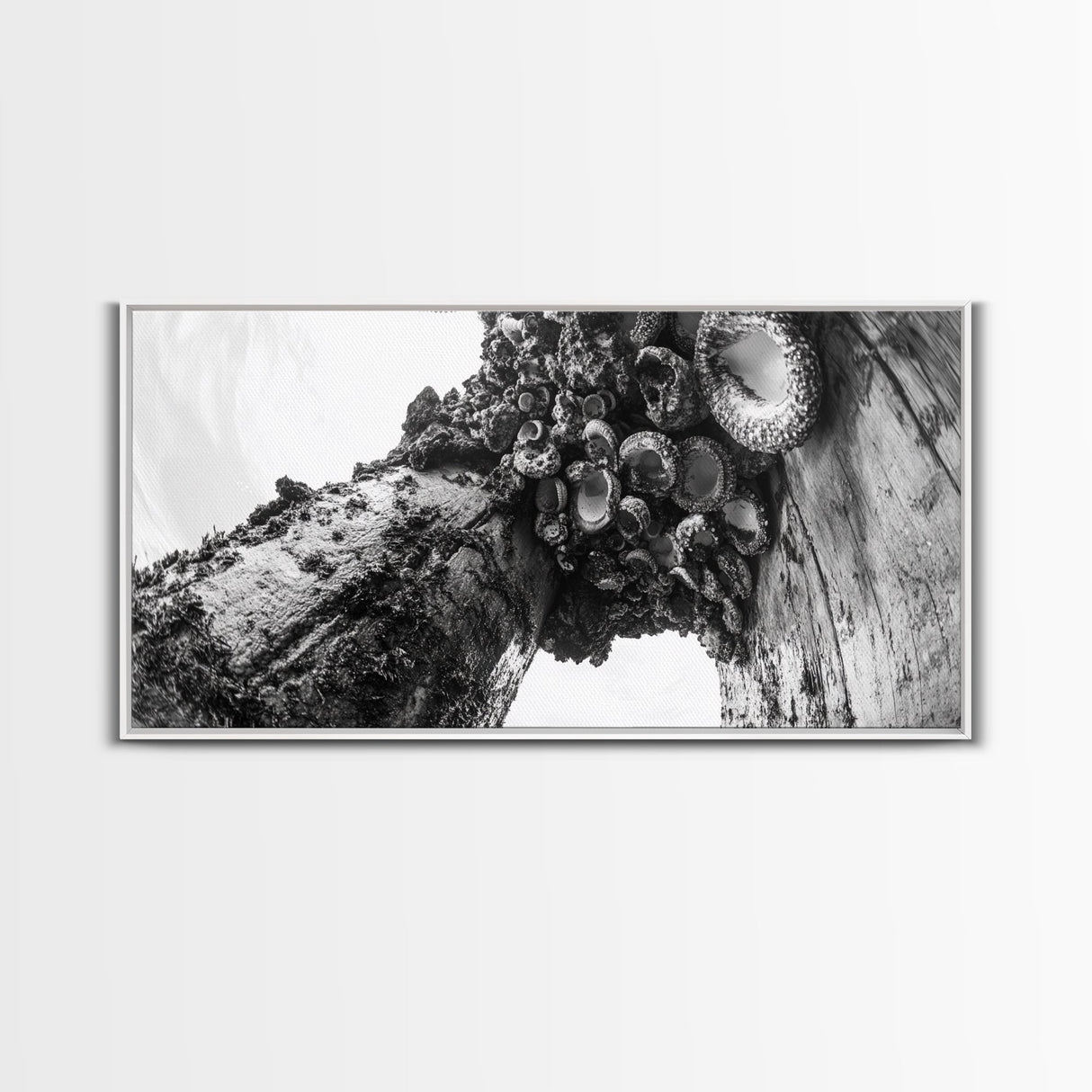 Coastal Texture, Tidepool Abstract, Modern Ocean Nature, Framed Canvas Print, Bathroom Wall Art, Marine Minimalist Photography