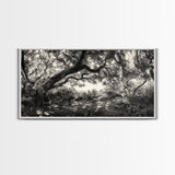 Twisted Forest Canopy, Ancient Trees, Mystical Woodland, Canvas Print, Boho Living Room Art, Black and White Nature Print, Cabin Decor