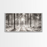 Winter Pine Forest, Sunlight Snow Trees, Nature Landscape Photography, Framed Canvas Print, Cabin Decor, Minimalist Wall Art