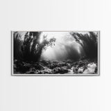 Kelp Forest Rays, Underwater Light, Black and White Ocean Scene, Framed Canvas Print, Nature Wall Art, Coastal Bathroom Decor