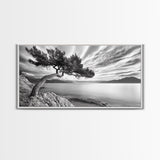 Tree Horizon, Curved Pine, Coastal Calm, Zen Scene, Canvas Print, Living Room Wall Art, Wabi Sabi Decor, Natural Minimal Aesthetic