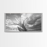 Blooming Iris, Floral Sky, Dreamy Nature, Petal Light, Framed Canvas Print, Modern Bedroom Art, Feminine Wall Art, Botanical Home Decor