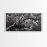 Mangrove Roots, Twisted Forest, Wild Nature, Moody Jungle, Framed Canvas Print, Rustic Living Room Art, Woodland Decor, Boho Vibes