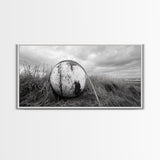 Coastal Buoy, Nautical Sphere, Fishing Rope, Beach Grass, Framed Canvas Print, Coastal Bathroom Art, Seaside Wall Decor, Rustic Style