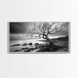 Coastal Tree, Tidal Shore, Windswept Beauty, Natural Balance, Framed Canvas Print, Bedroom Wall Art, Boho Decor, Serene Seascape