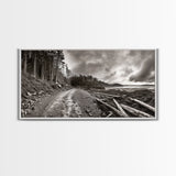Forest Ocean Trail, Stormy Beach Scene, Driftwood Pathway, Framed Canvas Print, Cabin Entryway or Nature-Inspired Living Room Art
