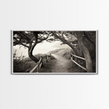 Ocean Cliff Path, Framed Trail Trees, Coastal Escape Scene, Framed Canvas Print, Boho Bedroom or Peaceful Hallway Wall Art, Entryway Accent