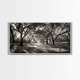 Oak Tree Path, Autumn Forest Glow, Nature Trail Photography, Framed Canvas Print, Hallway Wall Art, Earthy Decor, Woodland Art