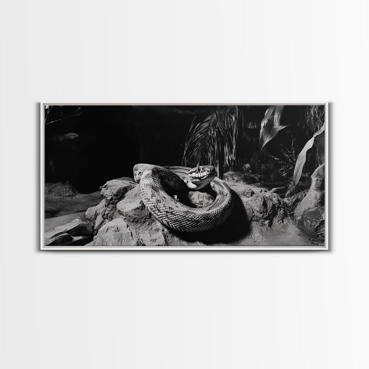 Jungle Snake Scene, Reptile Animal Art, Bold Black and White, Framed Canvas Print, Wildlife Decor, Man Cave or Study Wall Art