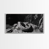 Jungle Snake Scene, Reptile Animal Art, Bold Black and White, Framed Canvas Print, Wildlife Decor, Man Cave or Study Wall Art