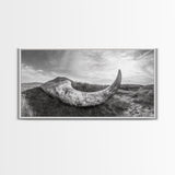Driftwood Horn Curve, Coastal Nature Art, Whale Bone Decor, Beachside Minimalism, Canvas Print, Entryway Wall Art, Nautical Rustic Decor