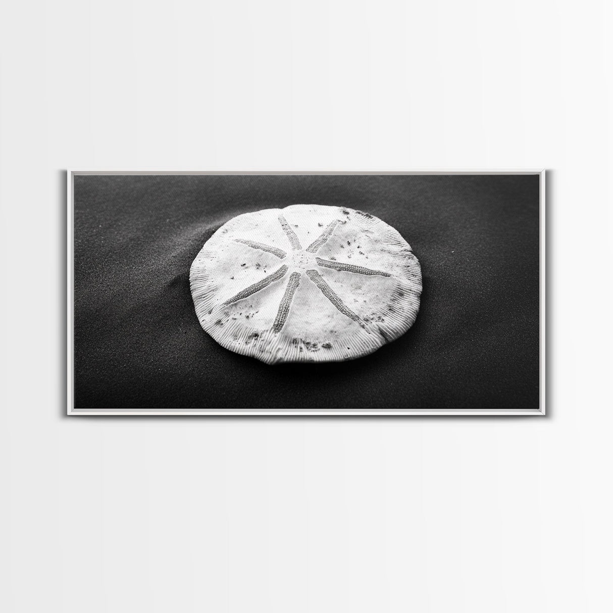 Sand Dollar, Beach Detail, Minimalist Sea, Calm Nature, Framed Canvas Print, Bathroom Wall Art, Coastal Boho Decor, Ocean Zen Style