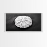 Sand Dollar, Beach Detail, Minimalist Sea, Calm Nature, Framed Canvas Print, Bathroom Wall Art, Coastal Boho Decor, Ocean Zen Style
