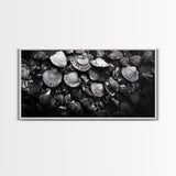 Seashell Close-Up, Ocean Texture Art, Nautical Beach Shells, Earthy Tones Decor, Framed Canvas Print, Bathroom Wall Art, Coastal Style