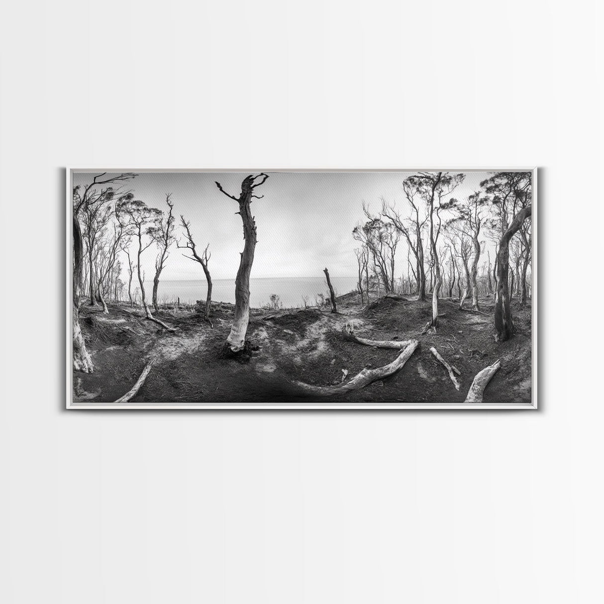 Burnt Forest, Moody Trees, Coastal Landscape, Nature Scene, Framed Canvas Print, Rustic Wall Art, Boho Decor, Fall Home Aesthetic