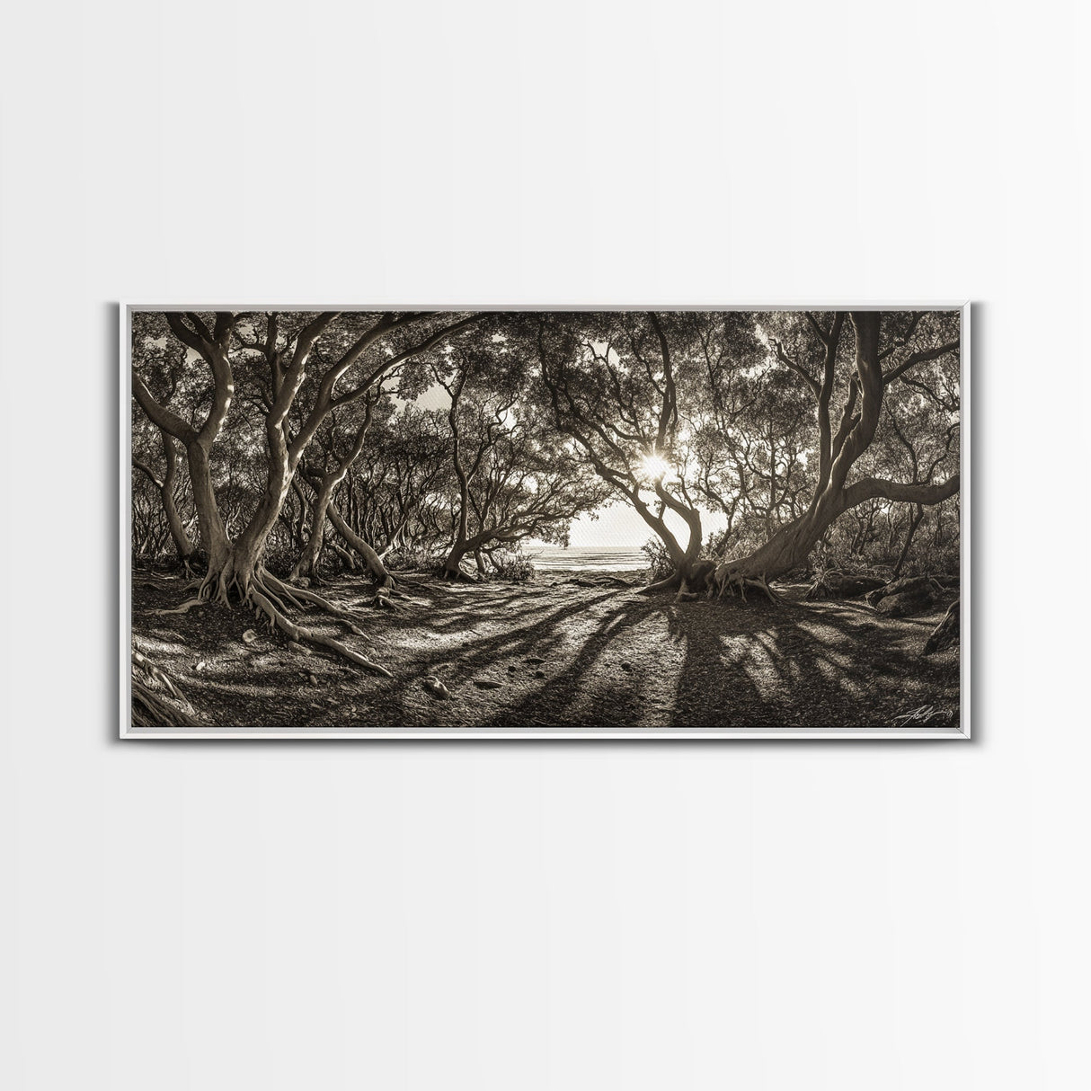 Enchanted Forest Light, Tree Shadows, Nature Landscape, Framed Canvas Print, Rustic Wall Art, Entryway Woodland Decor, Boho Forest Print