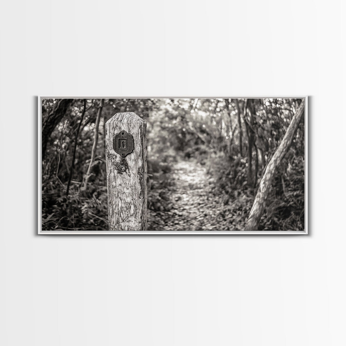Trail Marker, Wooded Path, Rustic Forest, Natural Journey, Framed Canvas Print, farmhouse decor, nature lover gift, Autumn entryway art