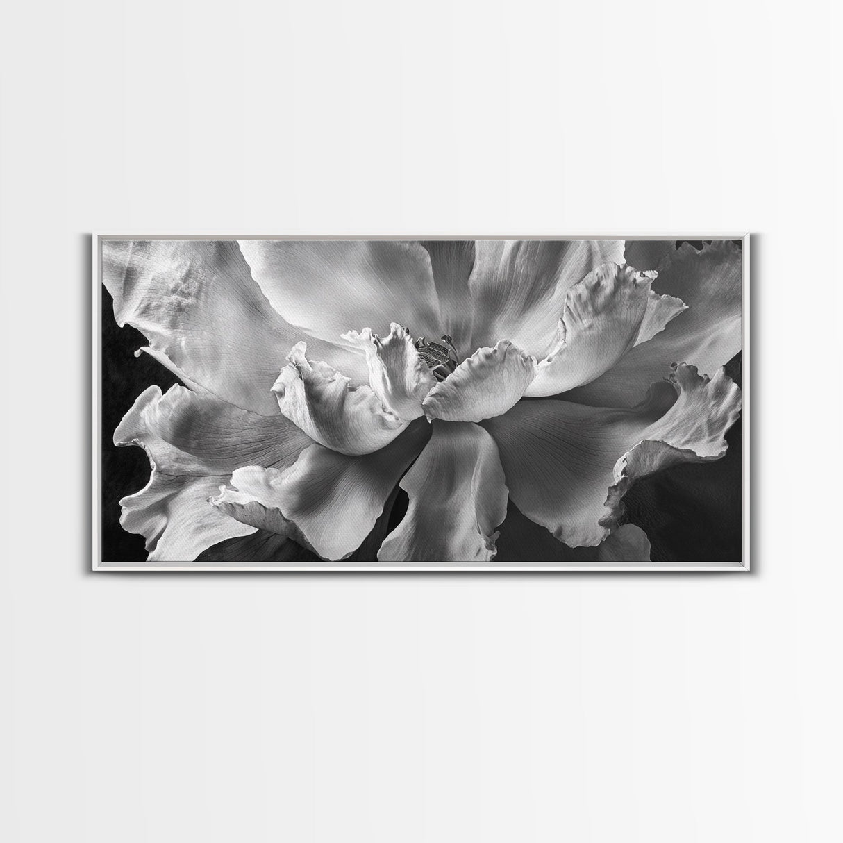 Floral Closeup, Petal Texture, Macro Bloom, Canvas Print, Botanical Bedroom Wall Art, Black And White Flower, Modern Nature Photography