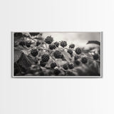 Blackberries on Vine, Farmhouse Kitchen Art, Rustic Fruit Wall Decor, Country Style, Autumn Botanical Photography, Canvas Print